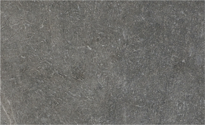 Armani Grey